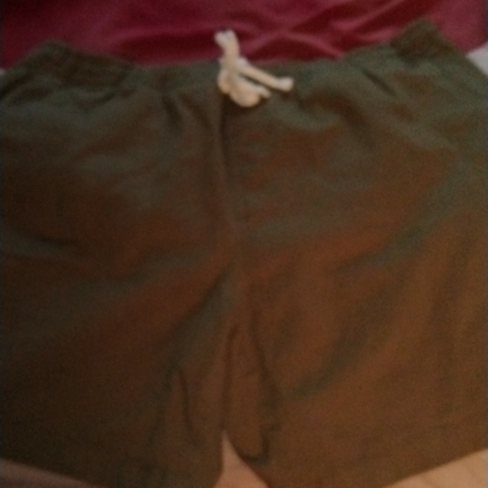 Fashion Nova men shorts size large color green